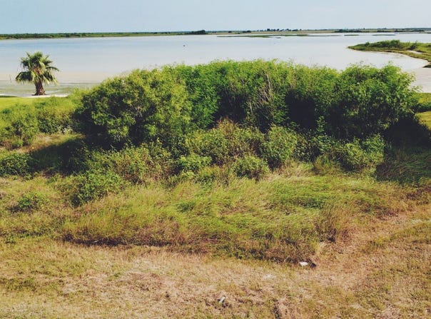 459 Egery Island Road, Taft, TX 78390