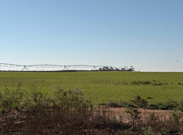 249 Rosevelt Rd, Texico, NM 88135