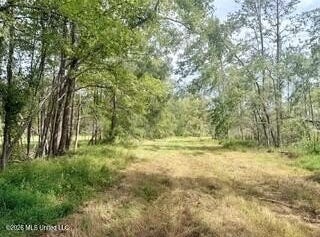 30 Mississippi 310, Como, MS 38619