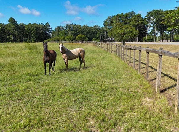 T.B.D. Hwy. 850, Grayson, LA 71435
