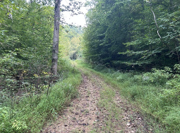 9999 Little Leatherwood Creek Road, Cornettsville, KY 41731