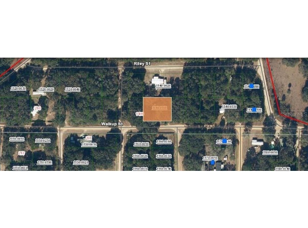 116 WALKUP Street, INTERLACHEN, FL 32148
