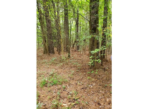 Jones Bend Rd., PARIS, TN 38242