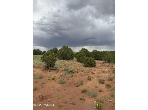 4205 Pinon Lane, Snowflake, AZ 85937