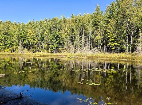 17 National Trail, Crandon, WI 54520