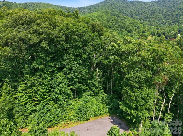 Triple Creek Drive, Clyde, NC 28721