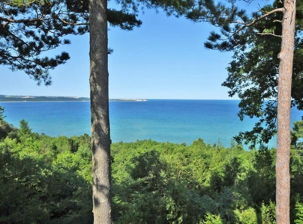 3 Vantage Pointe, Glen Arbor, MI 49636