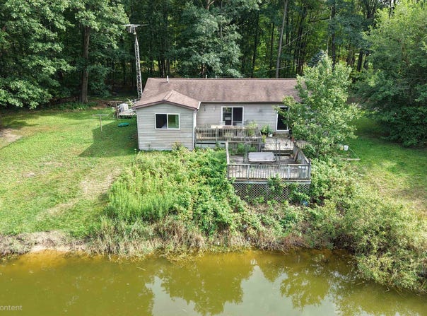 8920 Ora Lake Road, Hale, MI 48739
