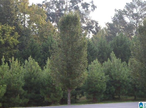 251 PARKVIEW DRIVE lot: 34, SYLVAN SPRINGS, AL 35118