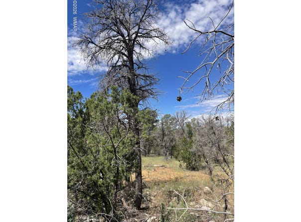 0001 Jeep Trail, Overgaard, AZ 85933