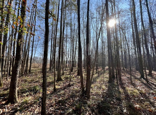 County Road 219, Selma, AL 36701