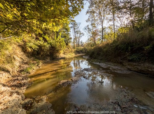 Rodney Road, Port Gibson, MS 39150