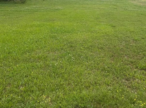 Odom, Hooks, TX 75561