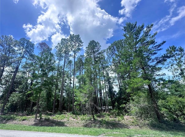 107 S GEORGETOWN POINT Road, GEORGETOWN, FL 32139