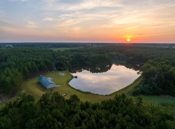 Lotus Rd, Holt, GA 31774