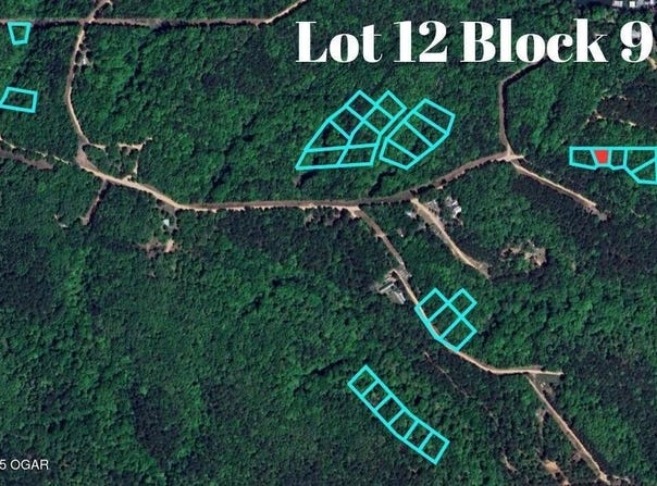 Block 9 (Piney Woods) E 332 Loop lot: 12, Jay, OK 74346