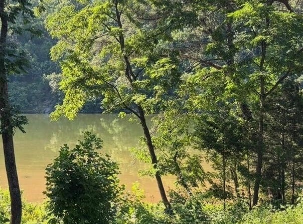 1953 Moorman Rd, Hardy, VA 24101