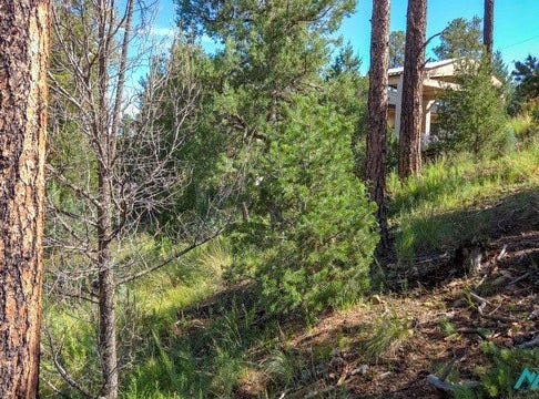 213 Snow Park Rd, Alto, NM 88312