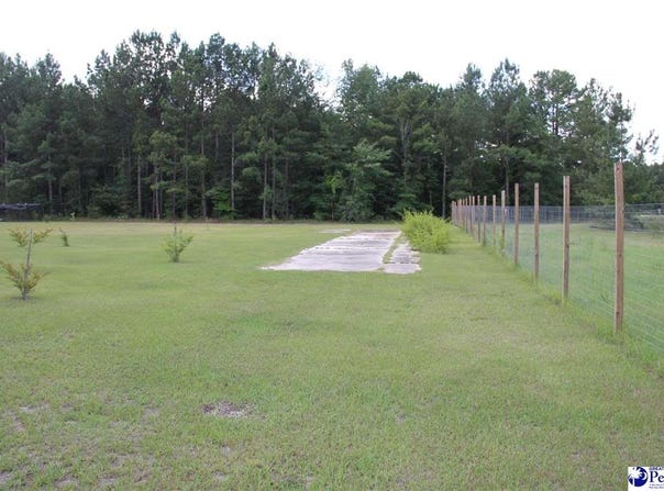 Winery Road, Patrick, SC 29584