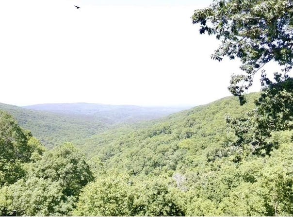 5800 White Oak Mountain Road, Hector, AR 72843