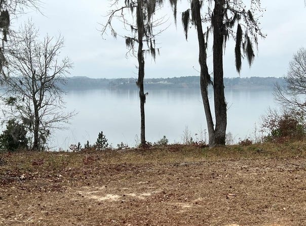 23 Point Drive, Georgetown, GA 39854