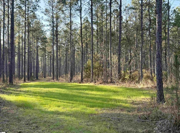 Highway 28, Abbeville, SC 29620