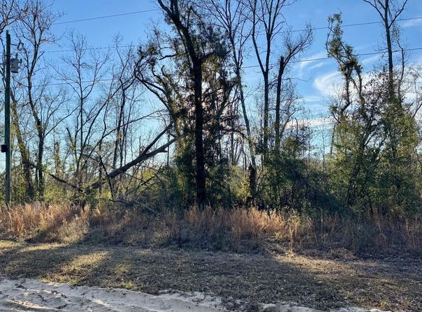 NW CHAMPION OAK BLVD lot: 27, Jennings, FL 32053
