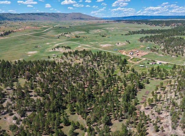 50 Acres 10321 Two Track Trail, Custer County, SD 57735