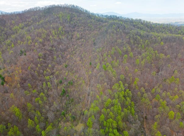 Wares Gap Road, Monroe, VA 24574