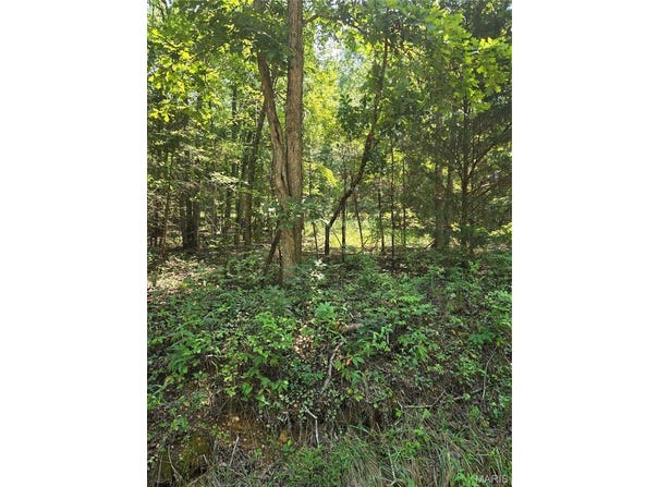0001 County Road 421, Birch Tree, MO 65438