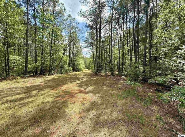 130 DOYSTON ROAD, Simsboro, LA 71275