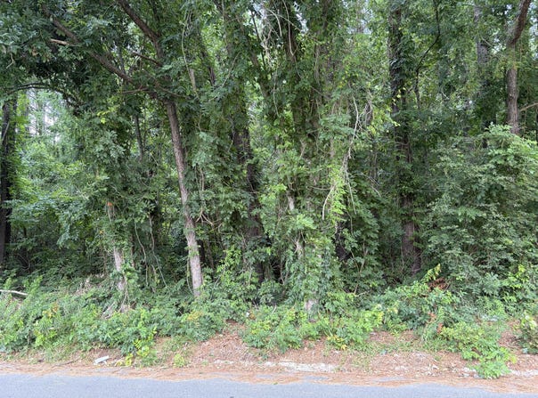314 E Poplar Branch Drive, Moncks Corner, SC 29461
