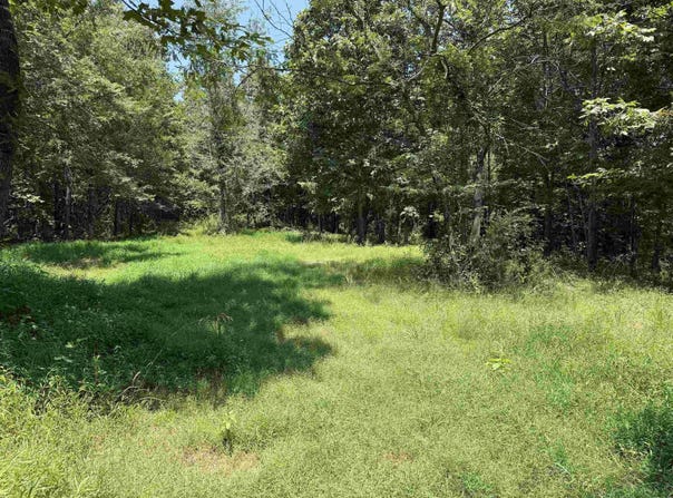 Tournament Dr., Mountain View, AR 72560