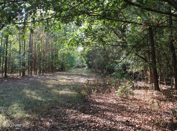 16 Tulane Road, Nesbit, MS 38651