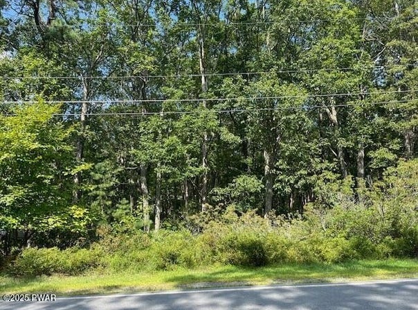 Maple Ridge Drive lot: 32, Lords Valley, PA 18428