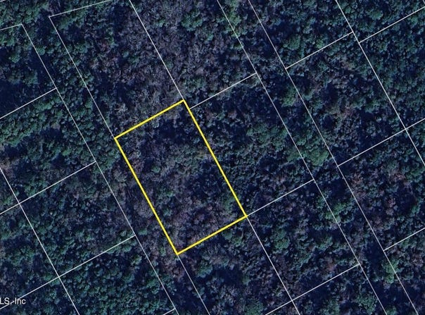 110 CARR Place, Satsuma, FL 32189