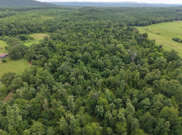 Nubbin Ridge, Royal, AR 71968