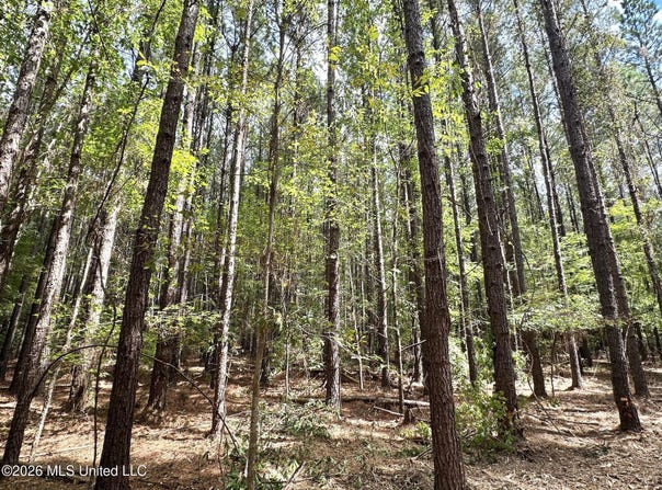 3 Clara Foote Rd, Braxton, MS 39044