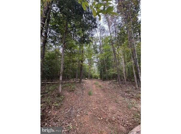 OLD OFFICE Road, LOCUST GROVE, VA 22508