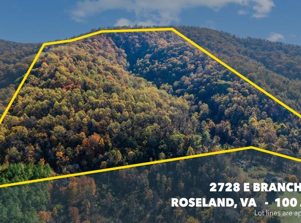2728 E BRANCH LOOP, ROSELAND, VA 22967