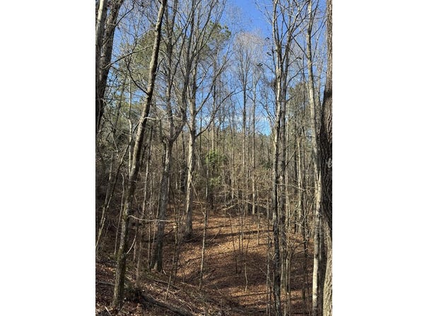Chapel Hill Rd, Gore Springs, MS 38929