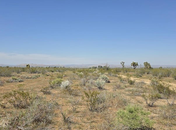 175th St E / Ave W10, Llano, CA 93544