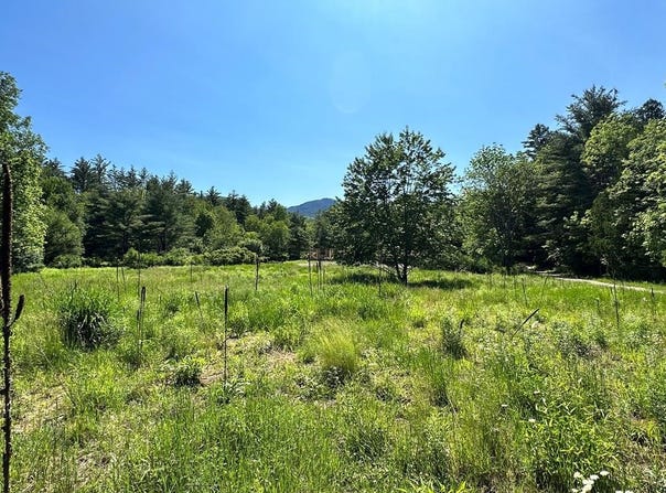 Crowningshield Way (Lot #3), Jay, NY 12941