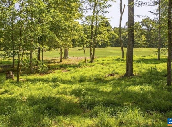 CLUB DR lot: 4, KESWICK, VA 22947