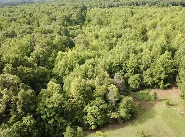 Farmer Road, Denton, NC 27239