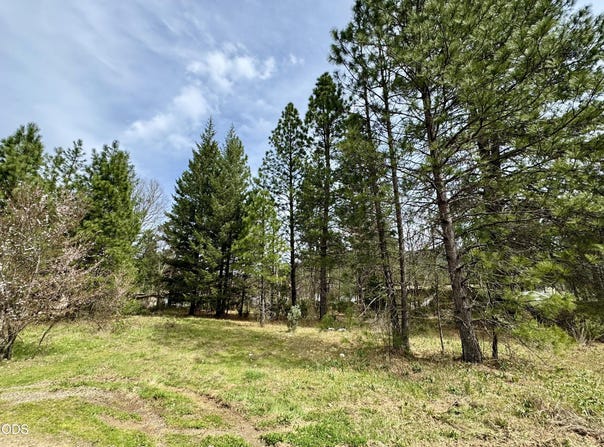 N Old Stage Road, Cave Junction, OR 97523