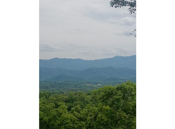 143 Moody Moon Ridge Way, Newport, TN 37821