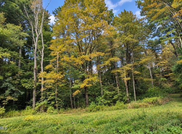 MA-41 lot: 2, Richmond, MA 01254