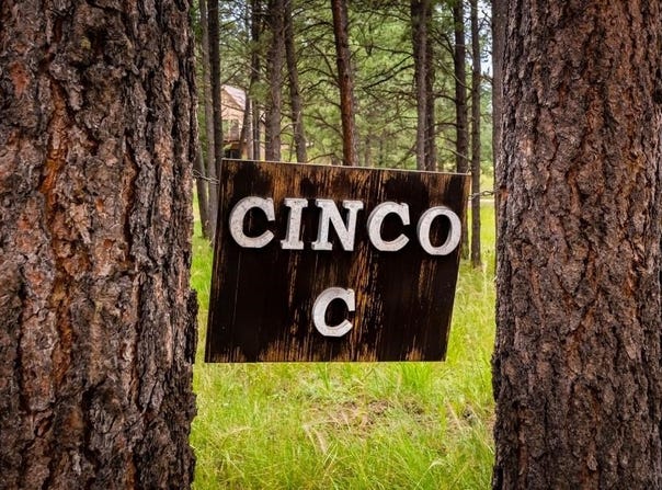 29 Via Del Rey, Angel Fire, NM 87710