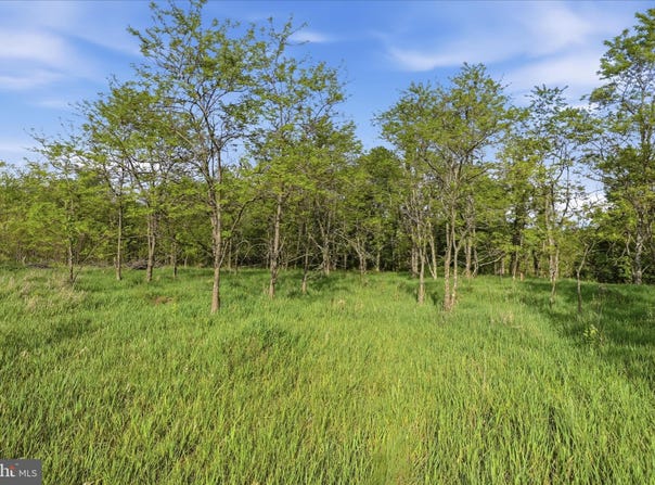 NATHANIEL DRIVE, ROMNEY, WV 26757